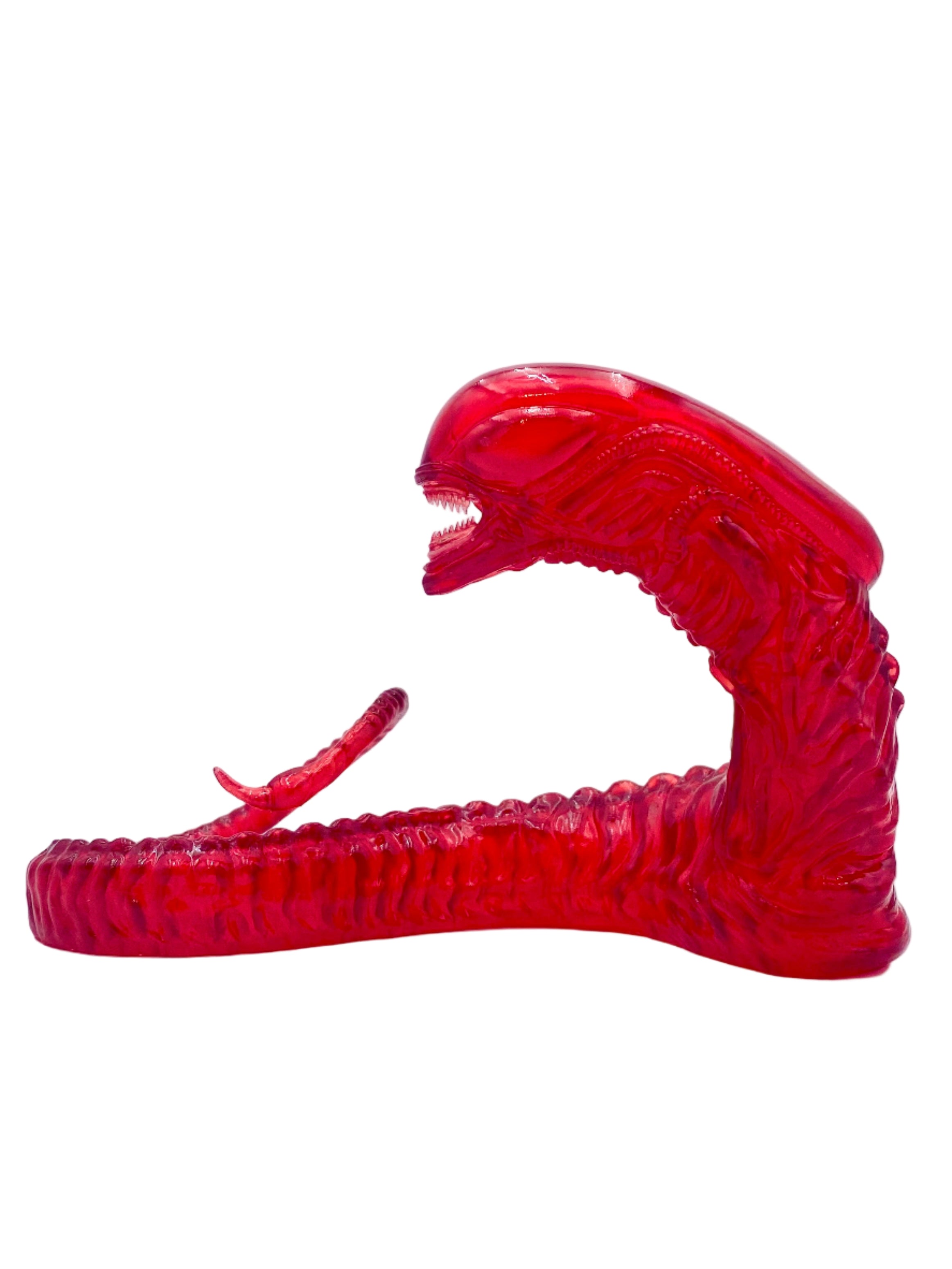 Bursty Le Chest / L / Translucent Ruby