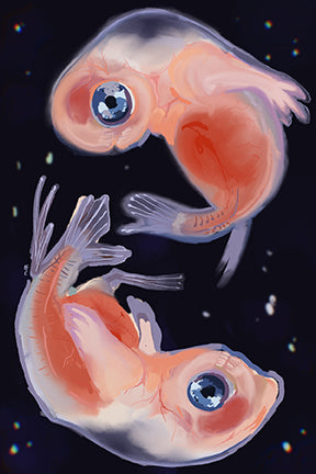 Baby Mermaids