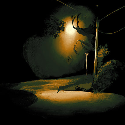 Creature at Night