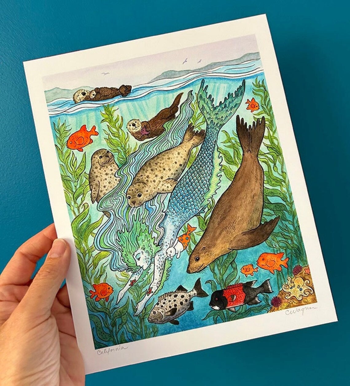 Mermaid California Kelp Forest