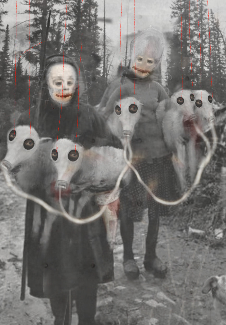 Vulnerability and Dependance